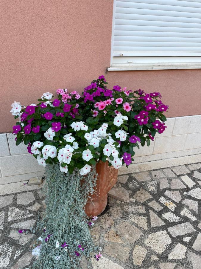 Apartman Jukic Hotel Marina Kültér fotó